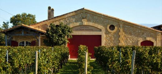 Younan Collection Acquires Bordeaux Vineyard