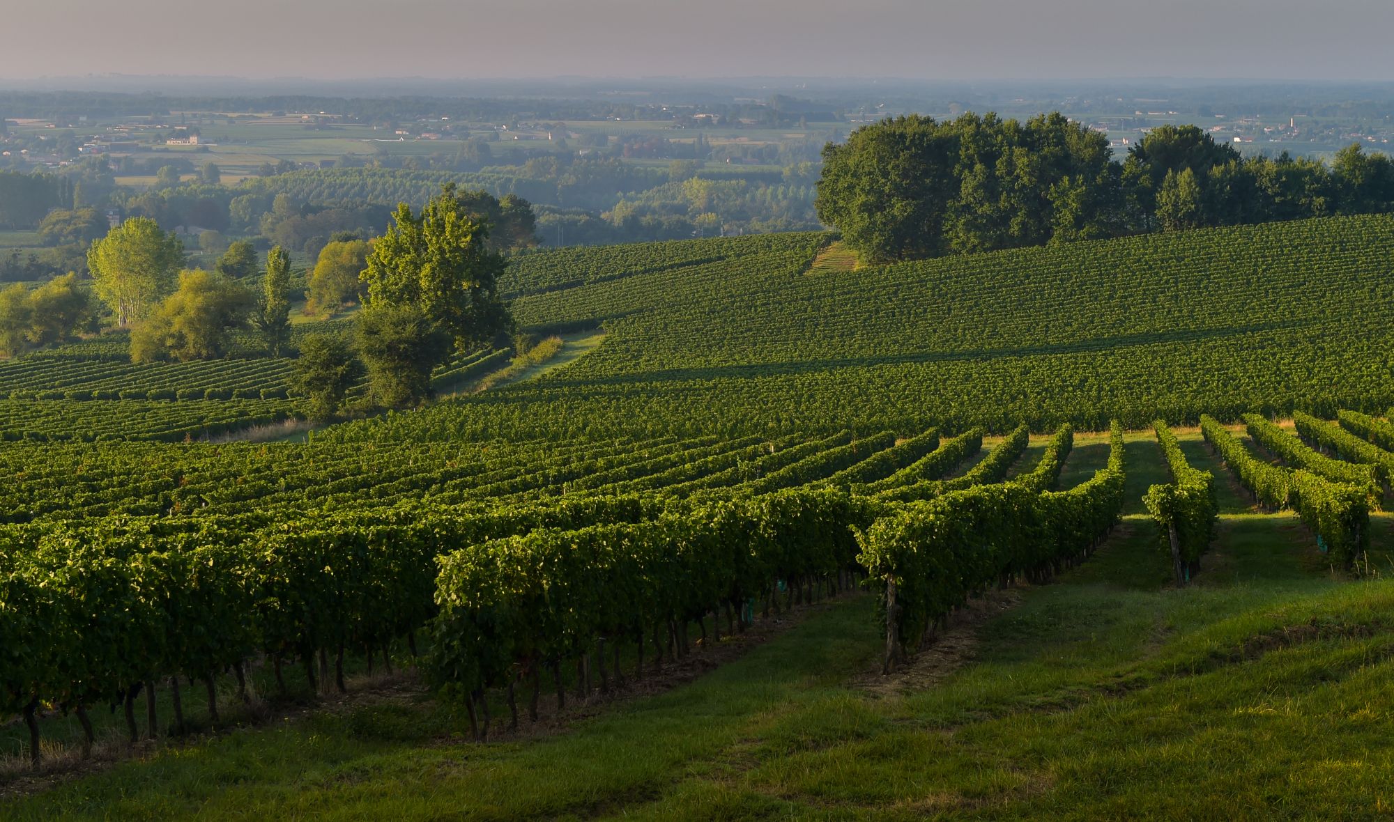 Château La Croix Younan